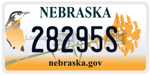 28295S  license plate in NE