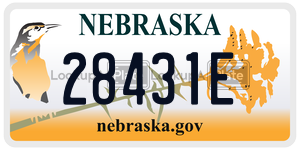28431E  license plate in NE