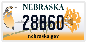 28B60  license plate in NE