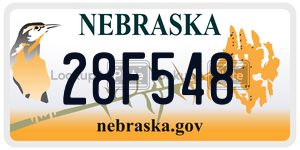 28F548  license plate in NE