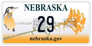 29-  license plate in NE