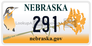 29-1  license plate in NE