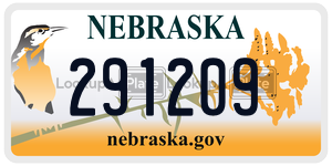291209  license plate in NE