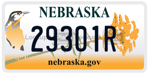 29301R  license plate in NE