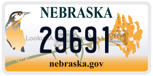 29691 license plate in Nebraska