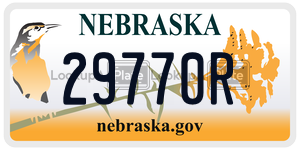 29770R  license plate in NE