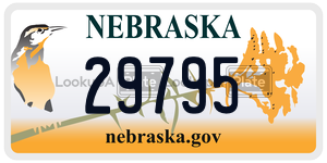 29795  license plate in NE