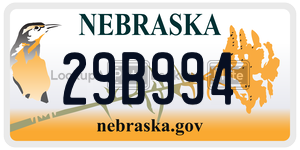 29B994  license plate in NE