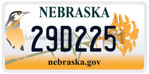 29D225  license plate in NE