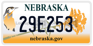 29E253  license plate in NE