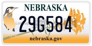 29G584  license plate in NE