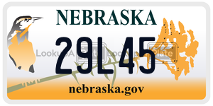 29L45  license plate in NE