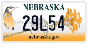 29L54  license plate in NE