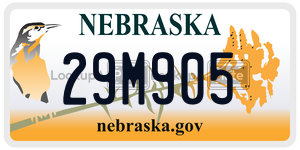 29M905  license plate in NE