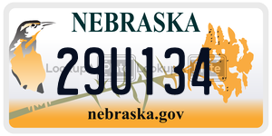 29U134  license plate in NE
