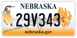 29V343  license plate in NE