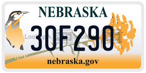30F290  license plate in NE