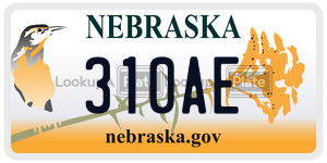 310AE  license plate in NE