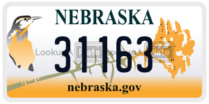 31163  license plate in NE