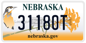 31180T  license plate in NE