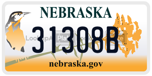 31308B  license plate in NE