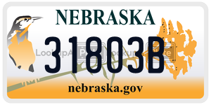 31803B  license plate in NE