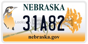 31A82  license plate in NE