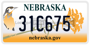 31C675  license plate in NE