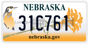 31C761  license plate in NE