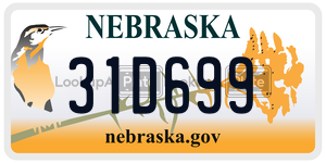 31D699  license plate in NE