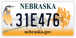 31E476  license plate in NE