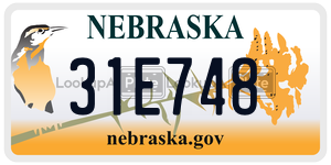 31E748  license plate in NE