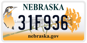 31F936  license plate in NE