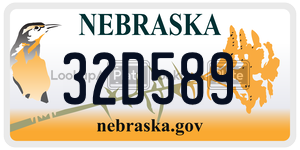 32D589  license plate in NE