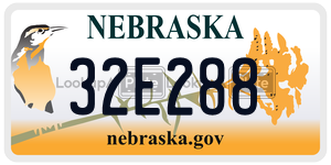 32E288  license plate in NE
