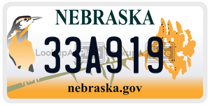 33A919  license plate in NE