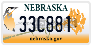 33C881  license plate in NE