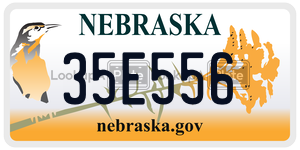 35E556  license plate in NE