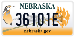 36101E  license plate in NE