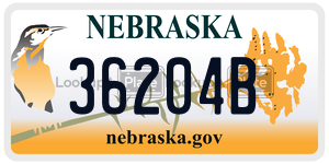 36204B  license plate in NE