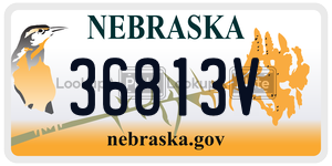 36813V  license plate in NE