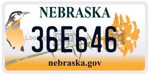 36E646  license plate in NE