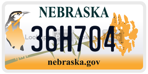 36H704  license plate in NE