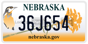 36J654  license plate in NE