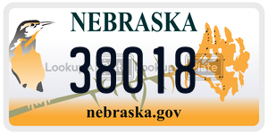 38018  license plate in NE