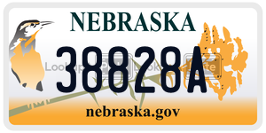 38828A  license plate in NE