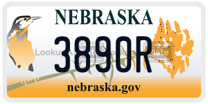 3890R  license plate in NE