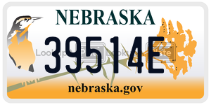 39514E  license plate in NE