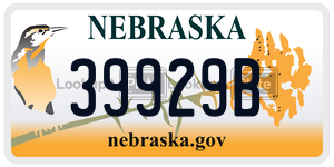 39929B  license plate in NE