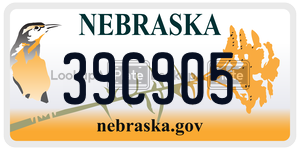 39C905  license plate in NE